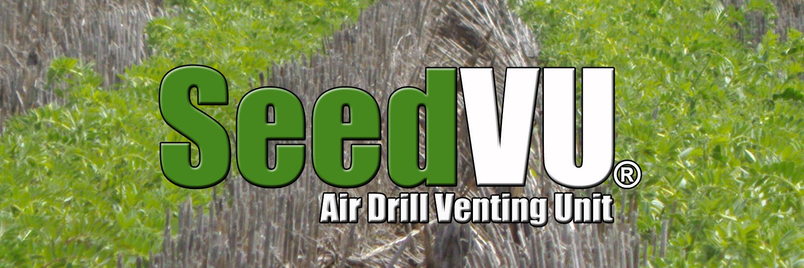 SeedVU's profile banner image