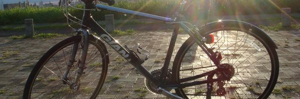 _tomoP Profile Banner