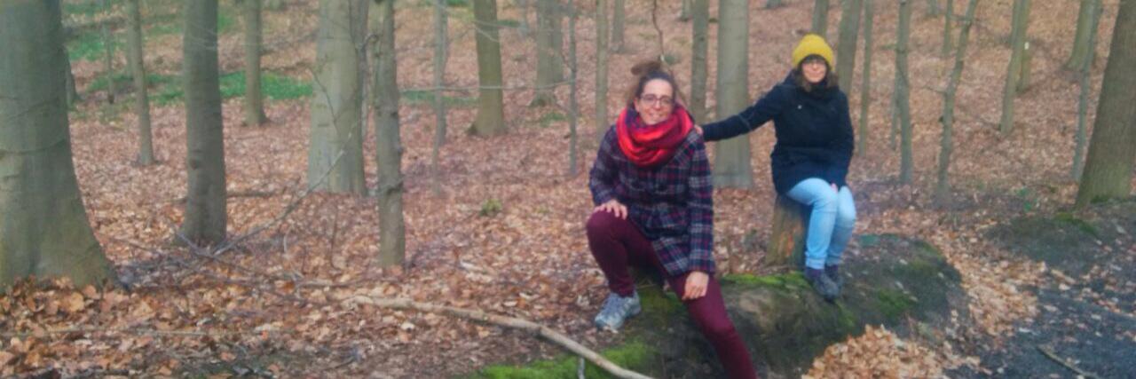 OsetElena's profile banner image