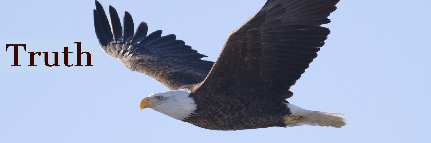 Seeit Sayit 🇺🇸🦅 banner