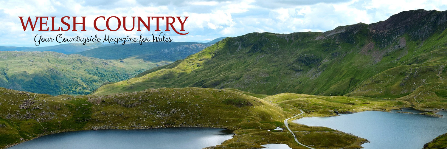 Welsh Country banner