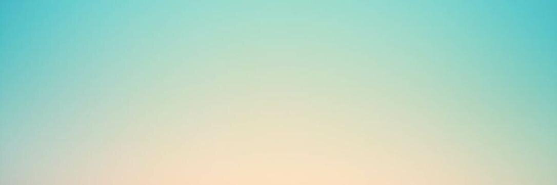 🦝 banner