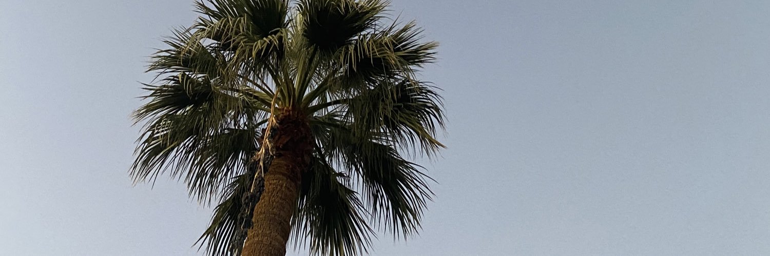 melisssaverdin's profile banner image