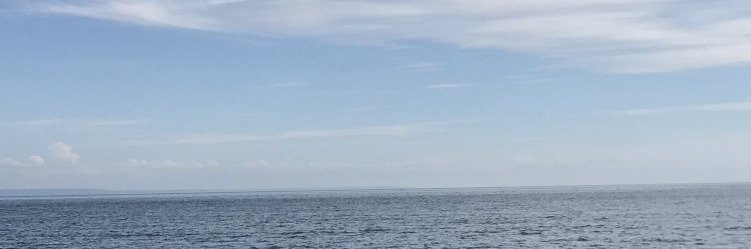 bienrequermeee's profile banner image