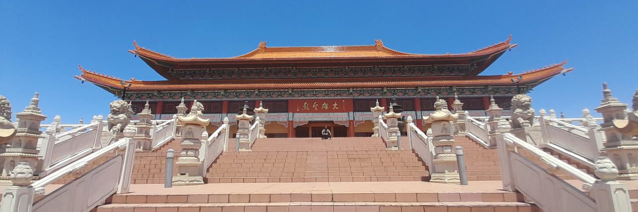 🐊 SoNjabulo banner