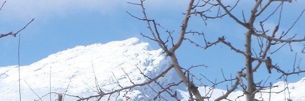 zuki712's profile banner image