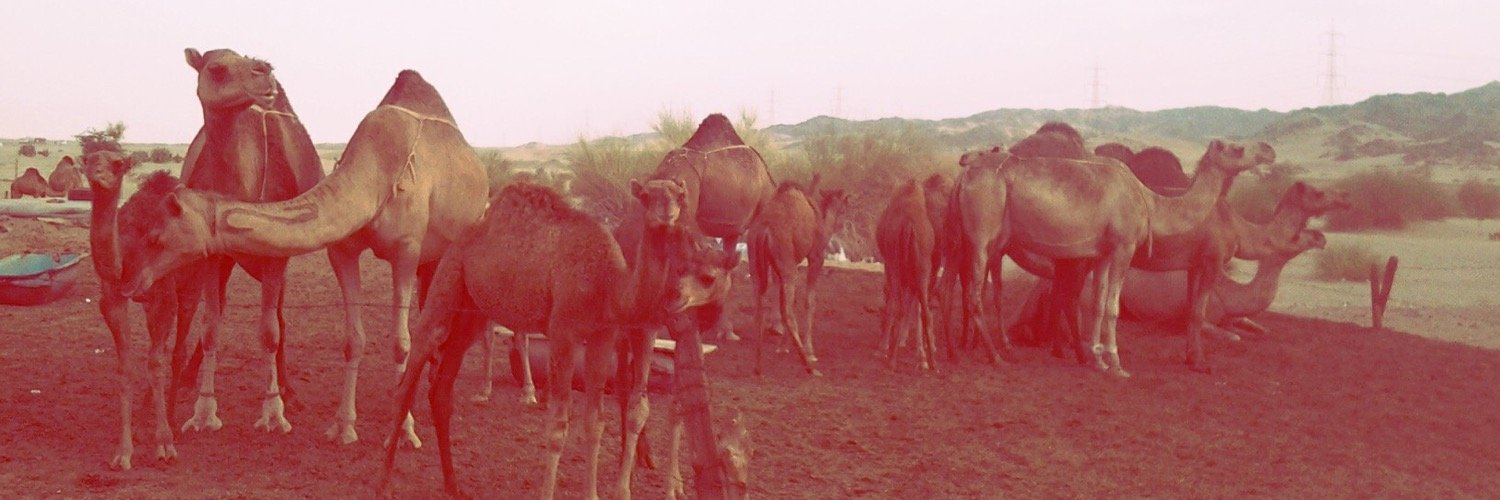 nggaringga's profile banner image