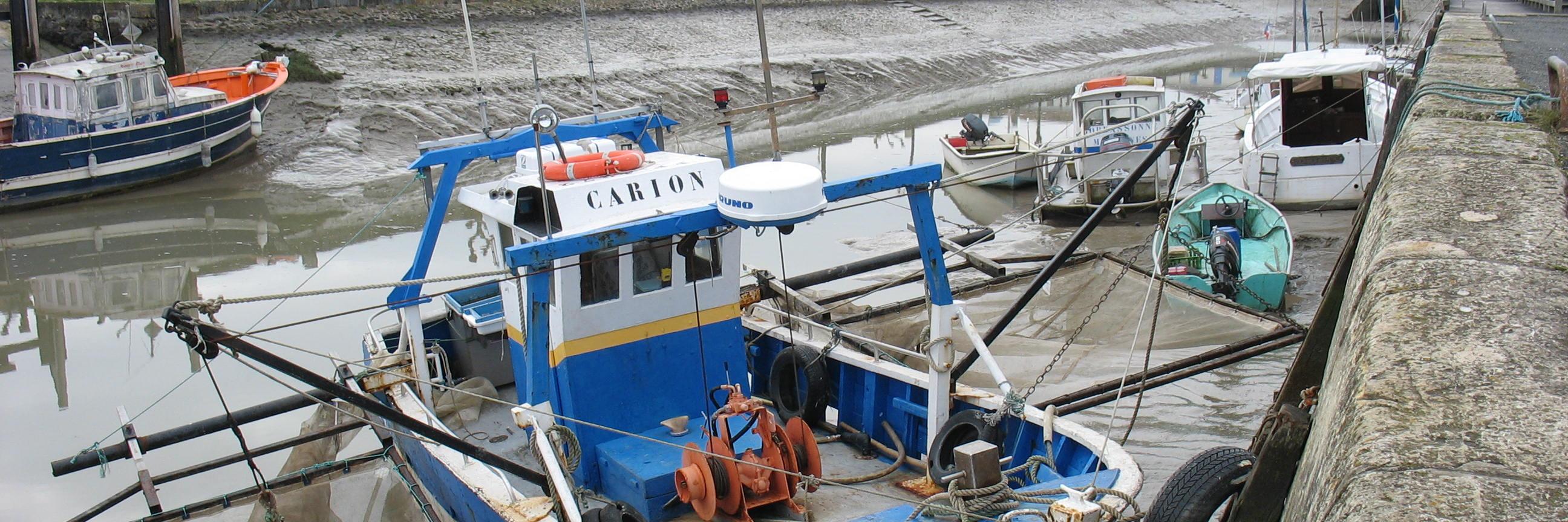 PhilippeBaroux's profile banner image