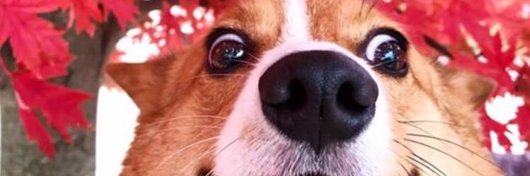 ashty4's profile banner image
