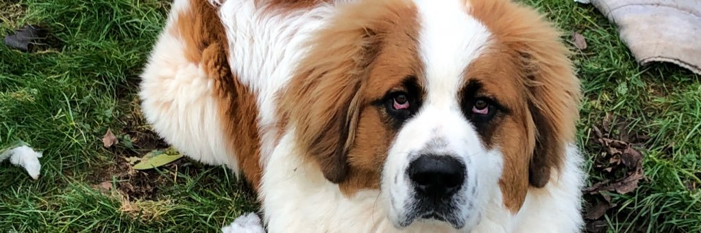 LeLabourierAr's profile banner image