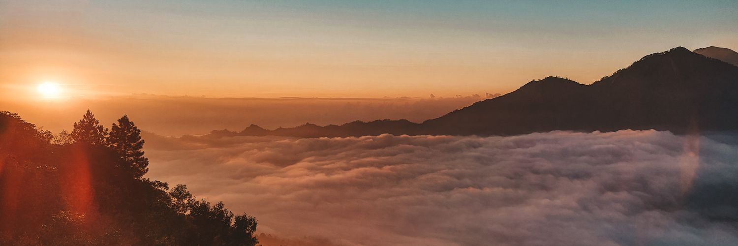 Olya banner