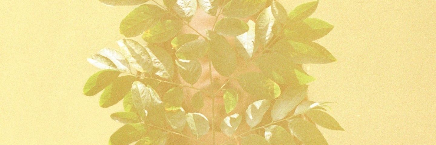 701bit's profile banner image
