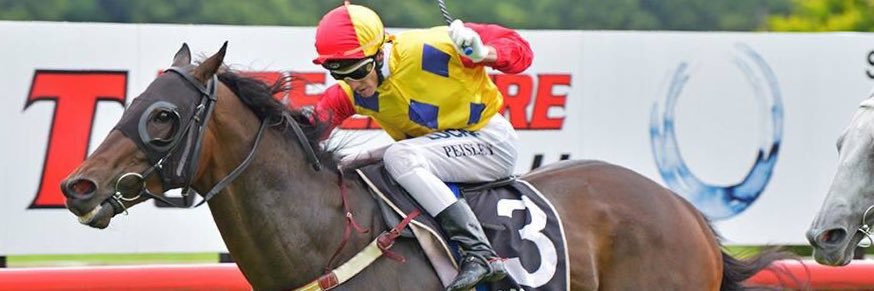 Daniel Bowen banner