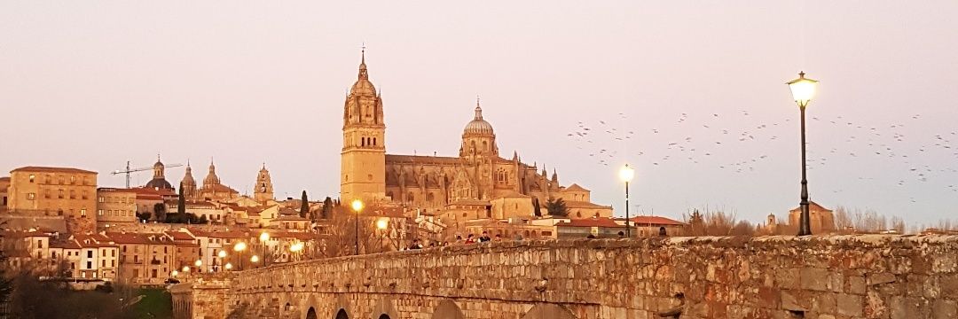 SrtaMartius's profile banner image