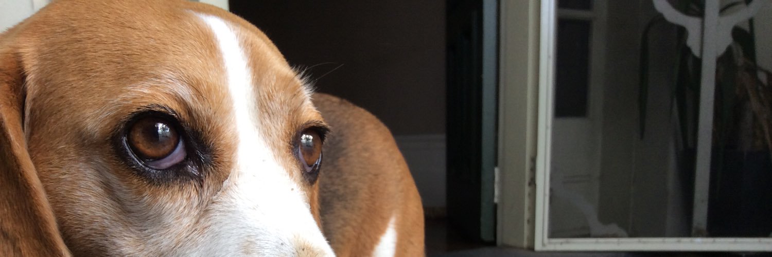 jacblanch's profile banner image