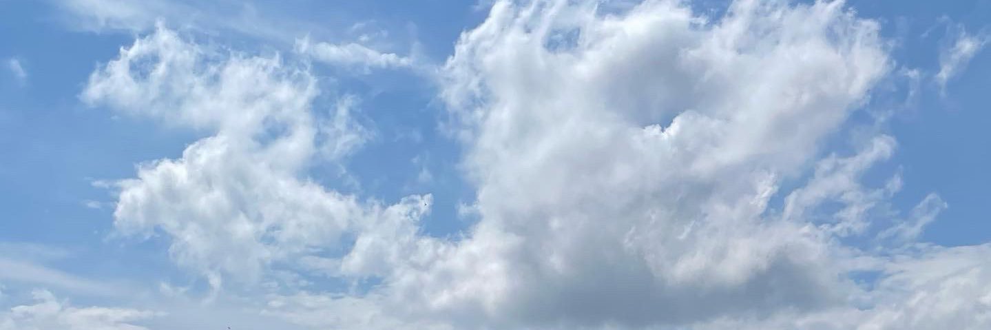 Jarek Widomski banner