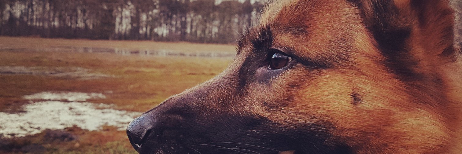 Hab_Sarcasm's profile banner image