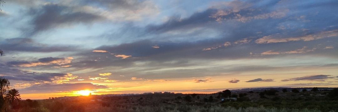 🏳️‍🌈🔻Xavier López 🌻♀️ banner