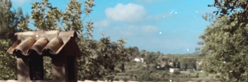 LauraMascarell's profile banner image