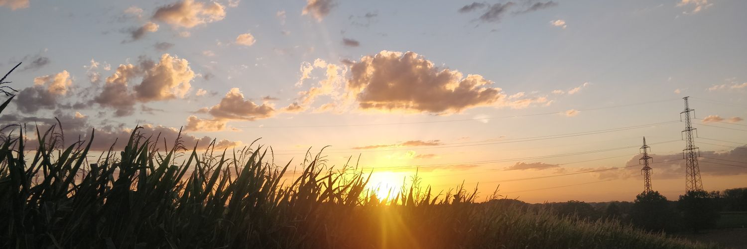 The tweeter formerly known as Toine banner