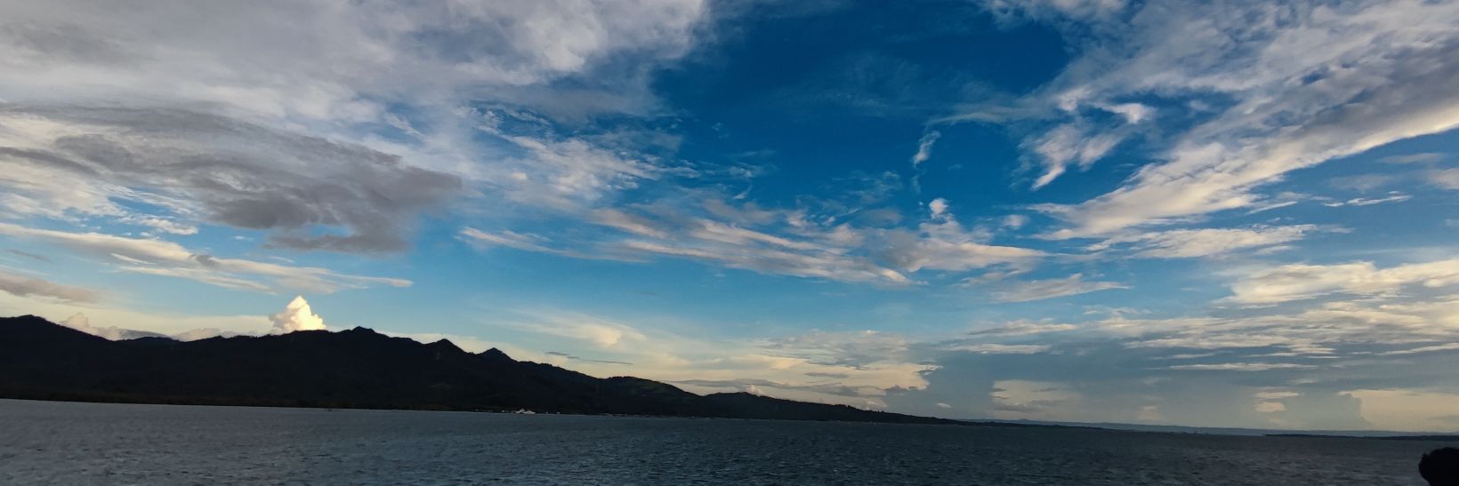 orvensol's profile banner image