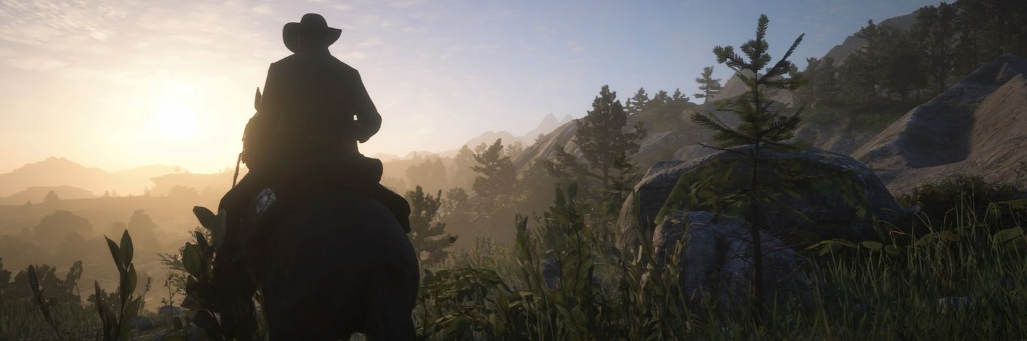 HaidenFox's profile banner image