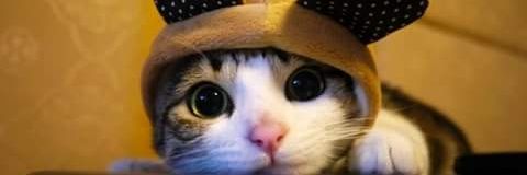 antoniwijaya95's profile banner image