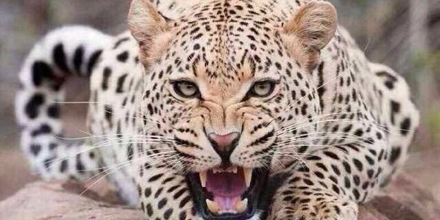 hussin505's profile banner image