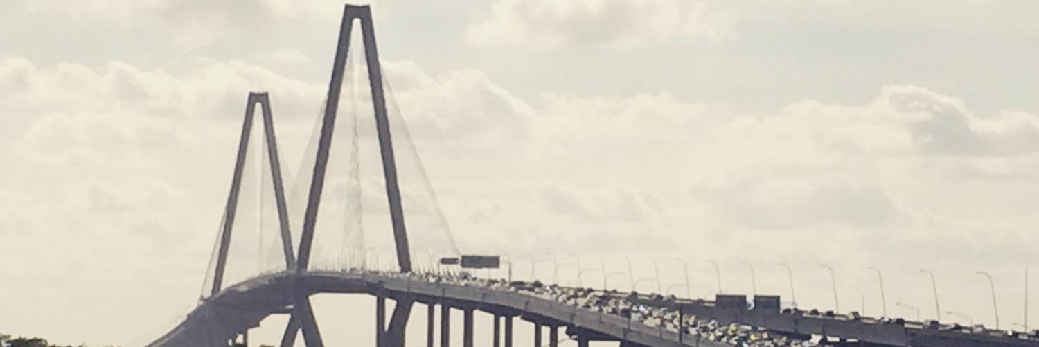 Mayci McLeod banner