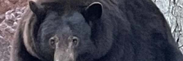 AlexFranklinHi Profile Banner