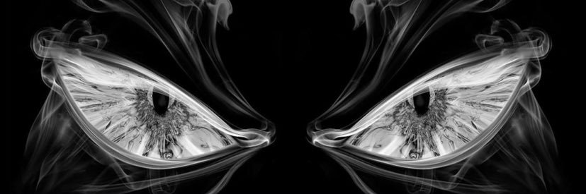 berkbasarirr's profile banner image