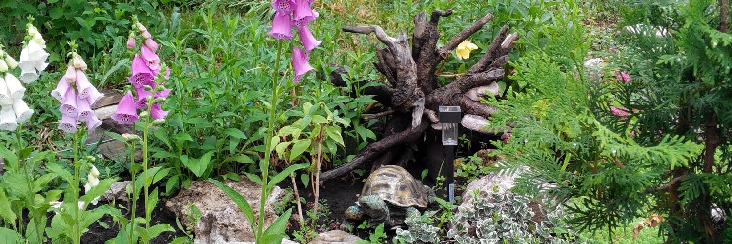 Маргарита Павлова banner