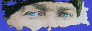 memphisforeva's profile banner image
