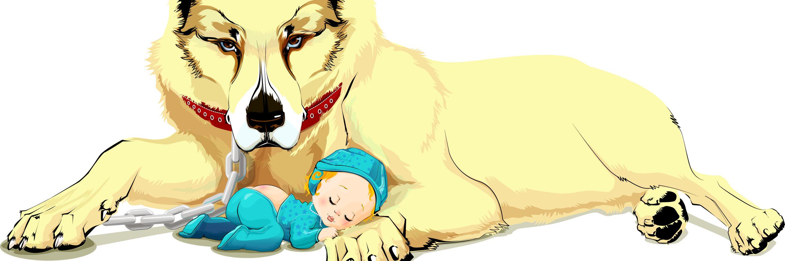 belozor's profile banner image