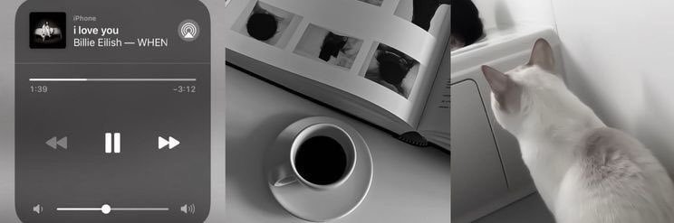 ⁷⁷li 🍑 banner