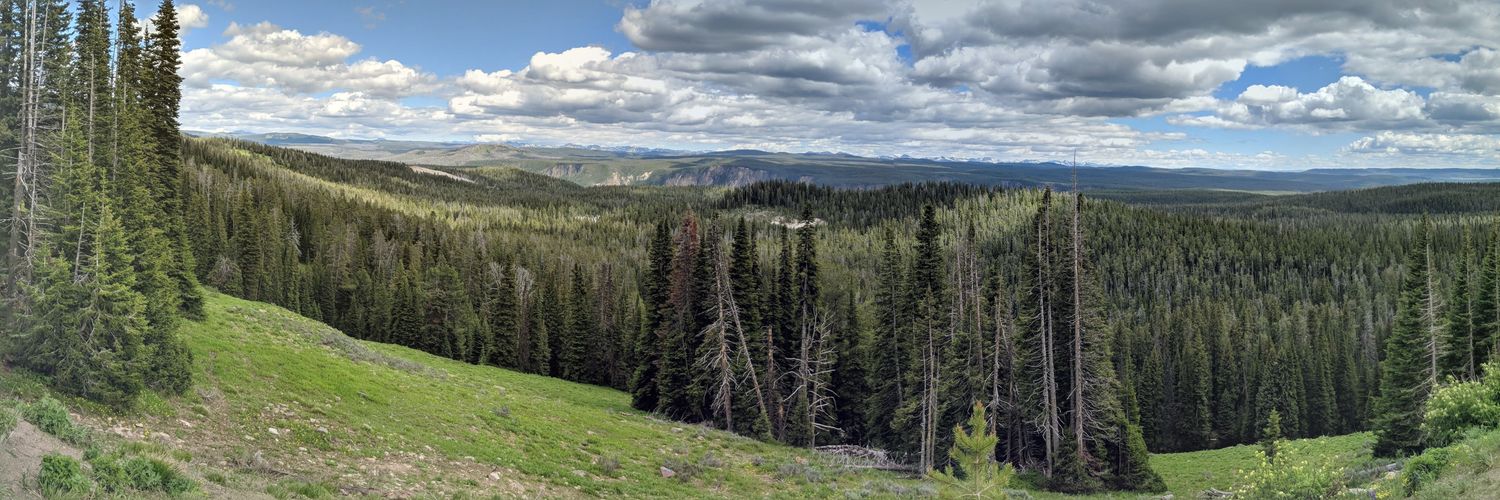 Alireza Fathi banner