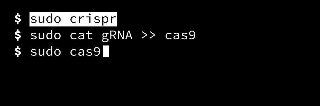 sudo_crispr's profile banner image