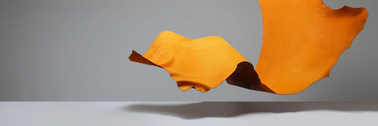 Bridge of Weir Leather banner