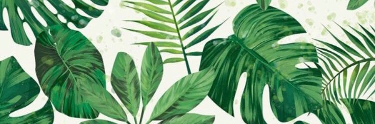 fatialfonso's profile banner image