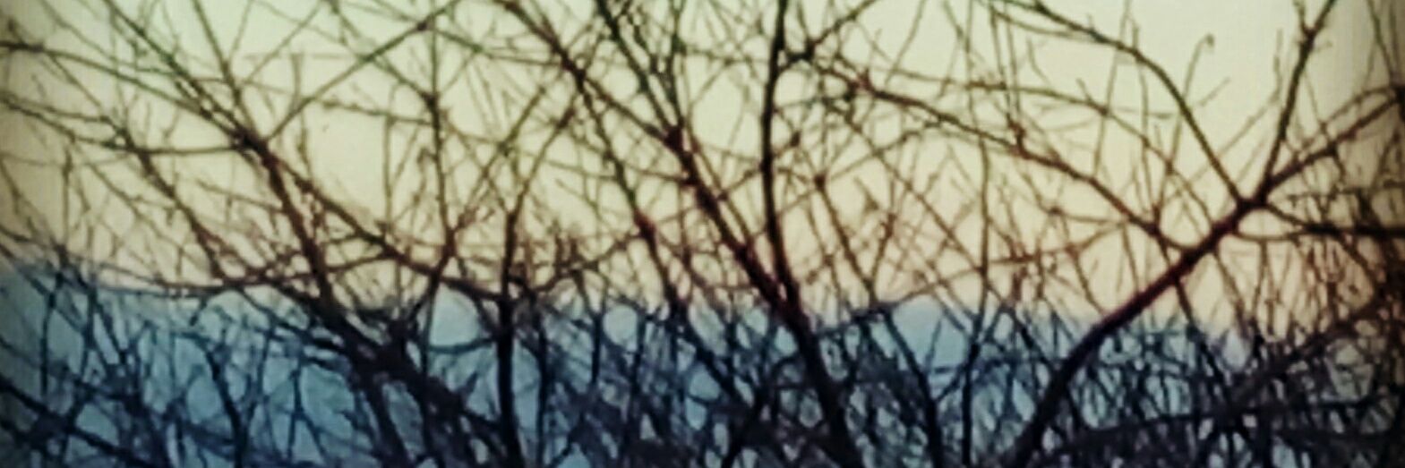 AdriLpez2's profile banner image