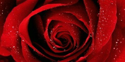 Landa_ME's profile banner image
