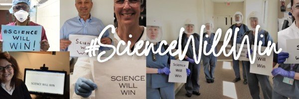 Deb Mangone banner