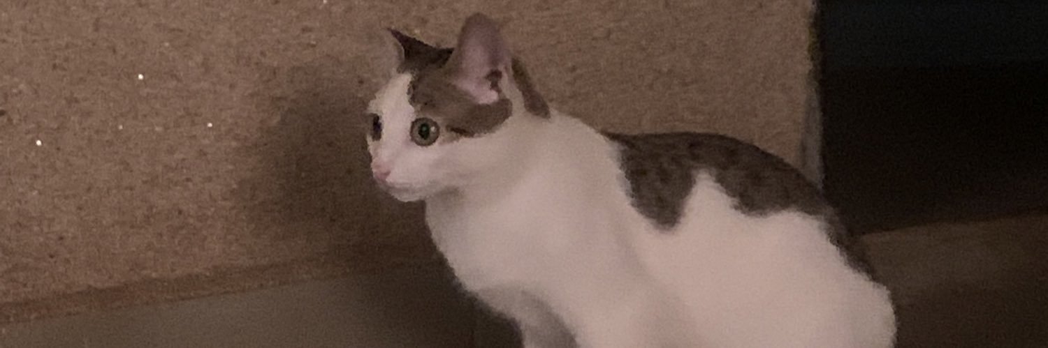 garbty's profile banner image