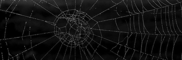 TrasOnetti Profile Banner