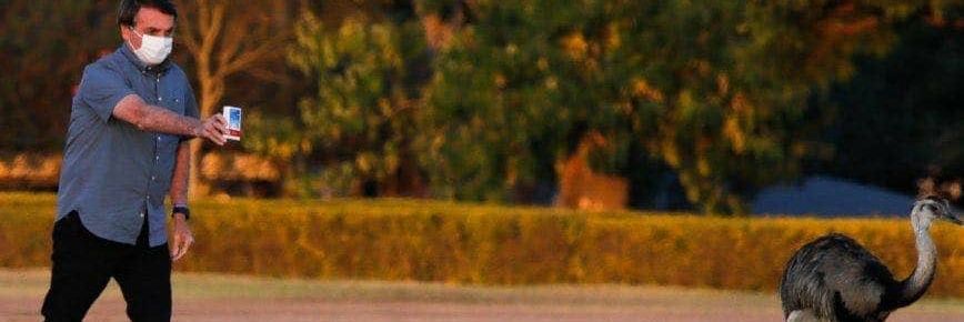 brunobind's profile banner image