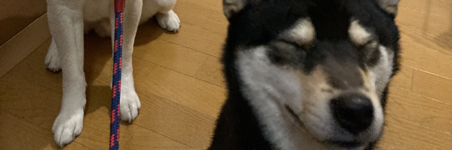 Tsukuyomi0113's profile banner image
