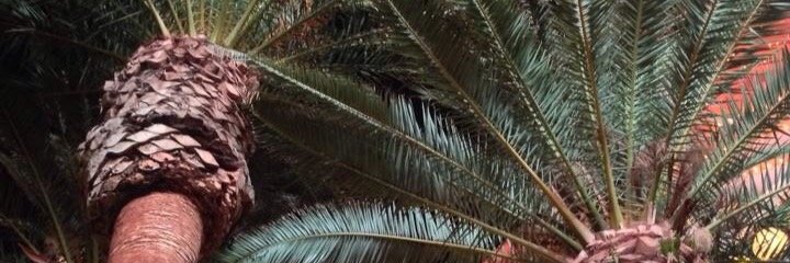 davidellefson4's profile banner image
