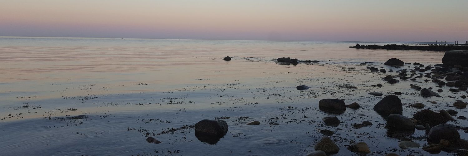 DanielleONeil_'s profile banner image