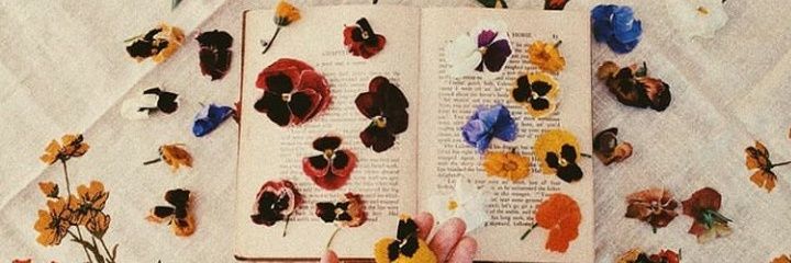 _bertt's profile banner image