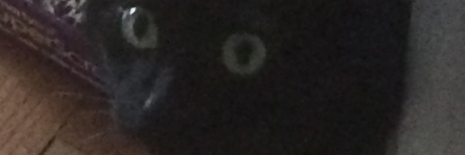 Lexaeus53's profile banner image